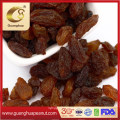 Export Standard Golden and Green Raisins in Hot Selling